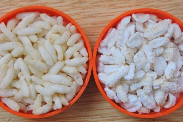 Bengali Meal Plan for Cancer Fighters