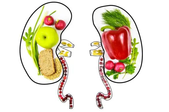 Diet Tips to Stay Healthy During a Kidney Cancer Treatment