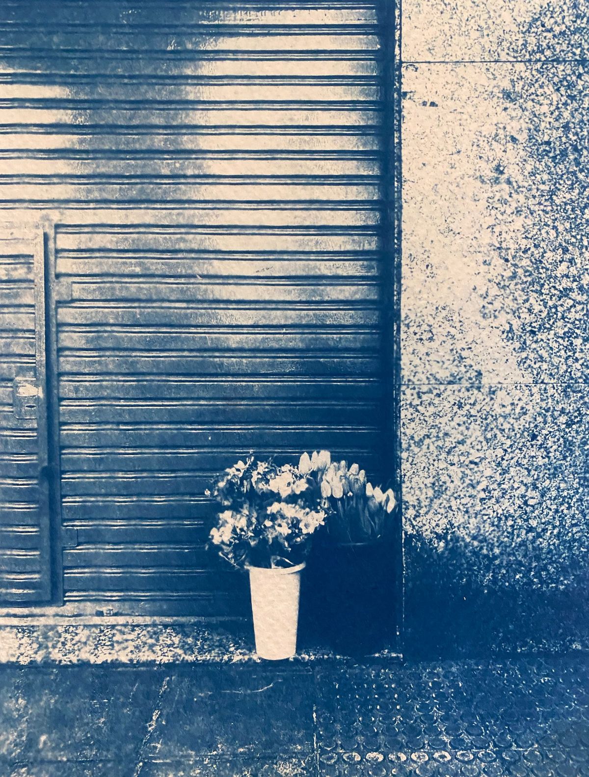 Dar flores aos vivos