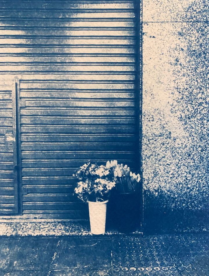 Dar flores aos vivos