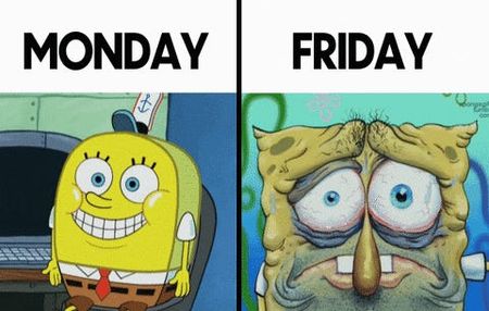 On the 5️⃣ day workweek
