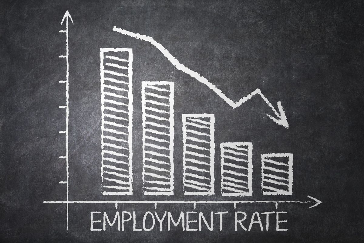 Decline in Registered Job Seekers in Greenland: August 2023 Report