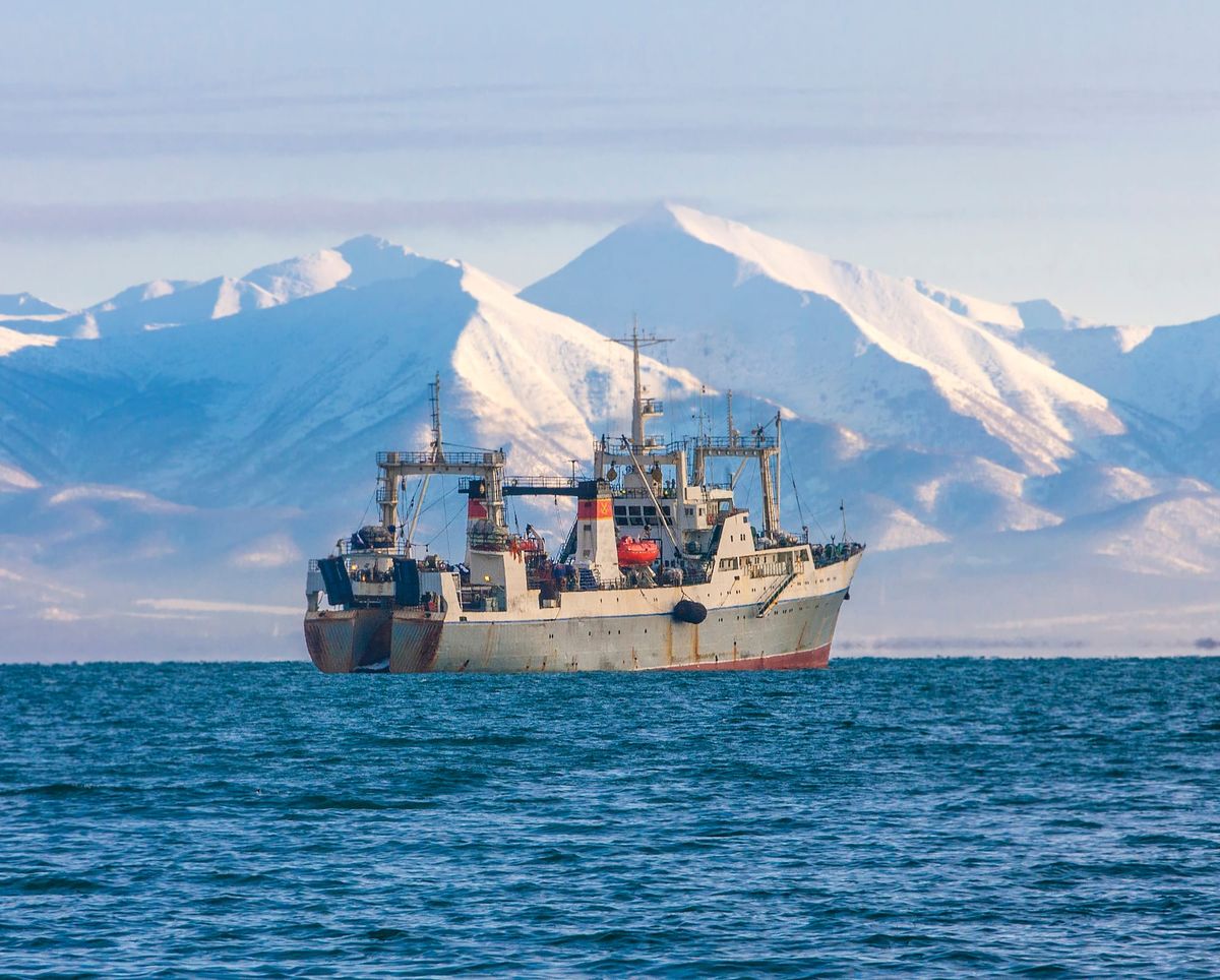 Greenland Announces Offshore Fishing Quotas for 2024 with Key Reductions in Halibut and Redfish