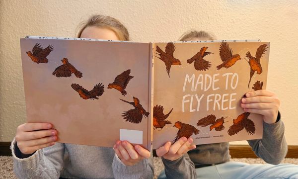 Why Children's Book Reviews Matter More Than You Think