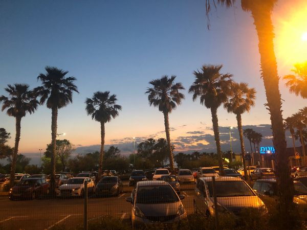 Exploring privilege in walnuts and taxi fares