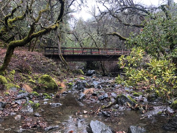 Welcoming this body to 2021