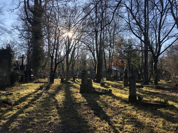 Dearest Melanie, welcome to a new year.