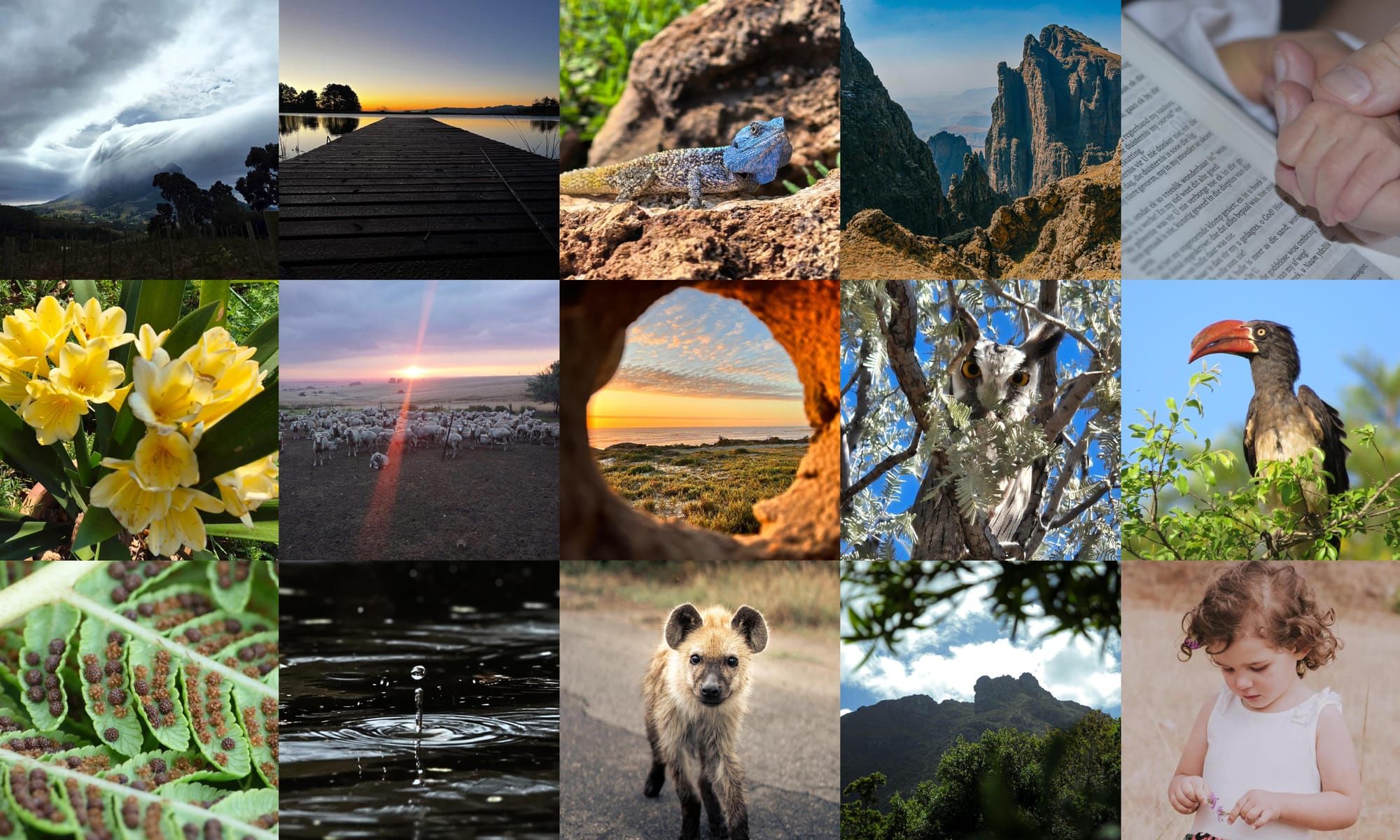 Olielamp Fotokompetisie: Die Skepping se Lens