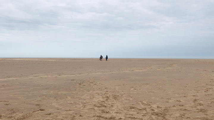 Two horses with riders, standing next to each other in the middle distance on Holkam beach