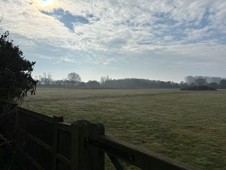 view of a field with a wooden fence in the foreground and trees in the background
