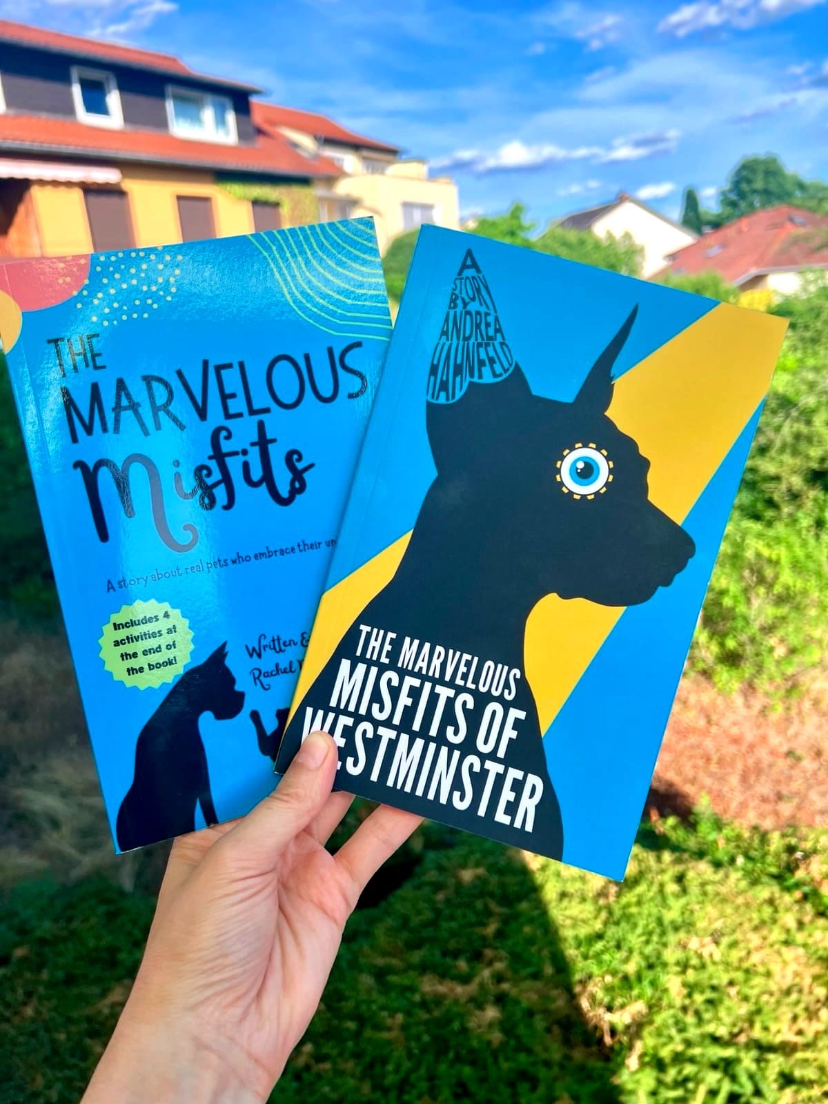 picture showing the two book covers