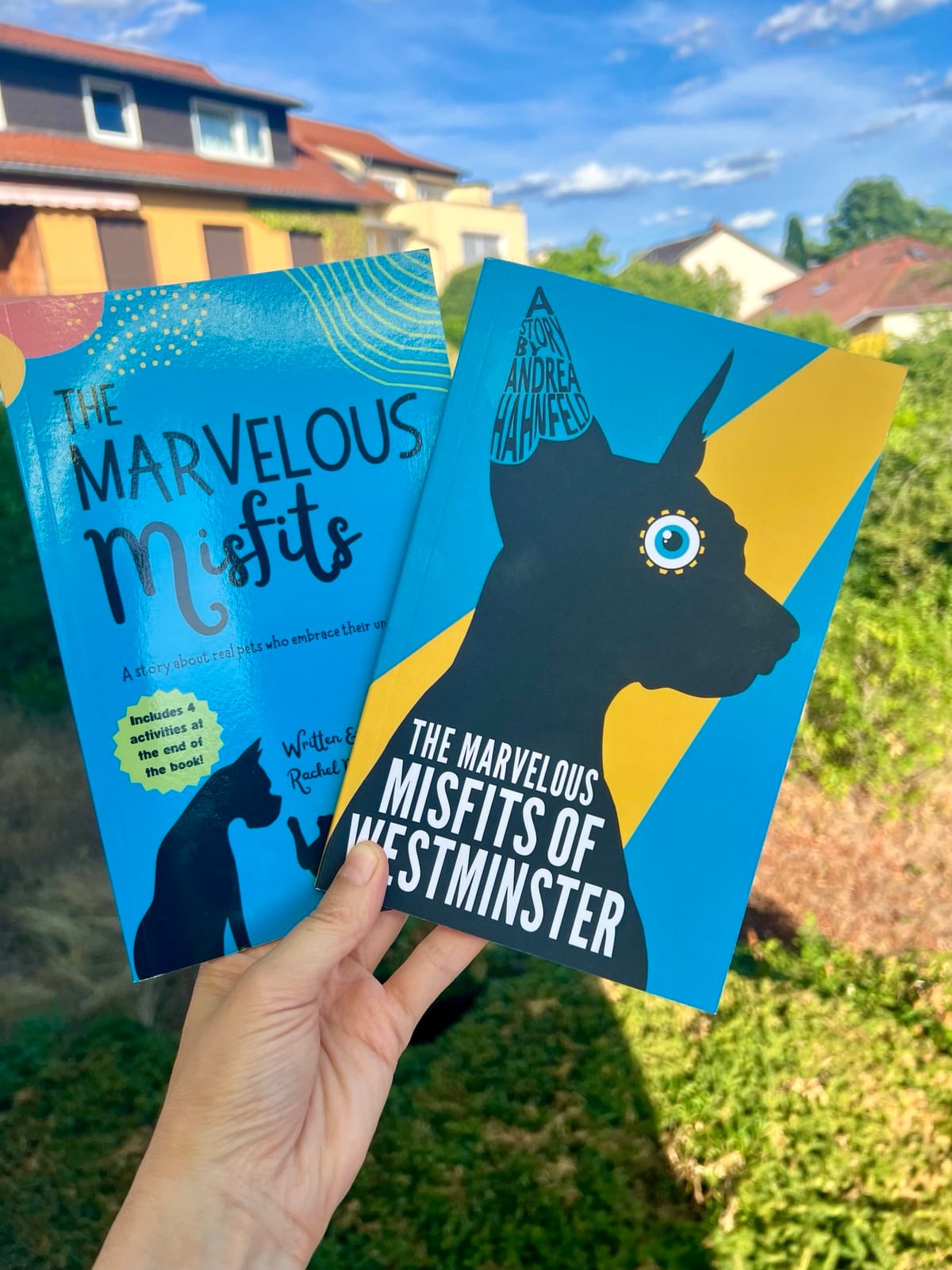 picture showing the two book covers