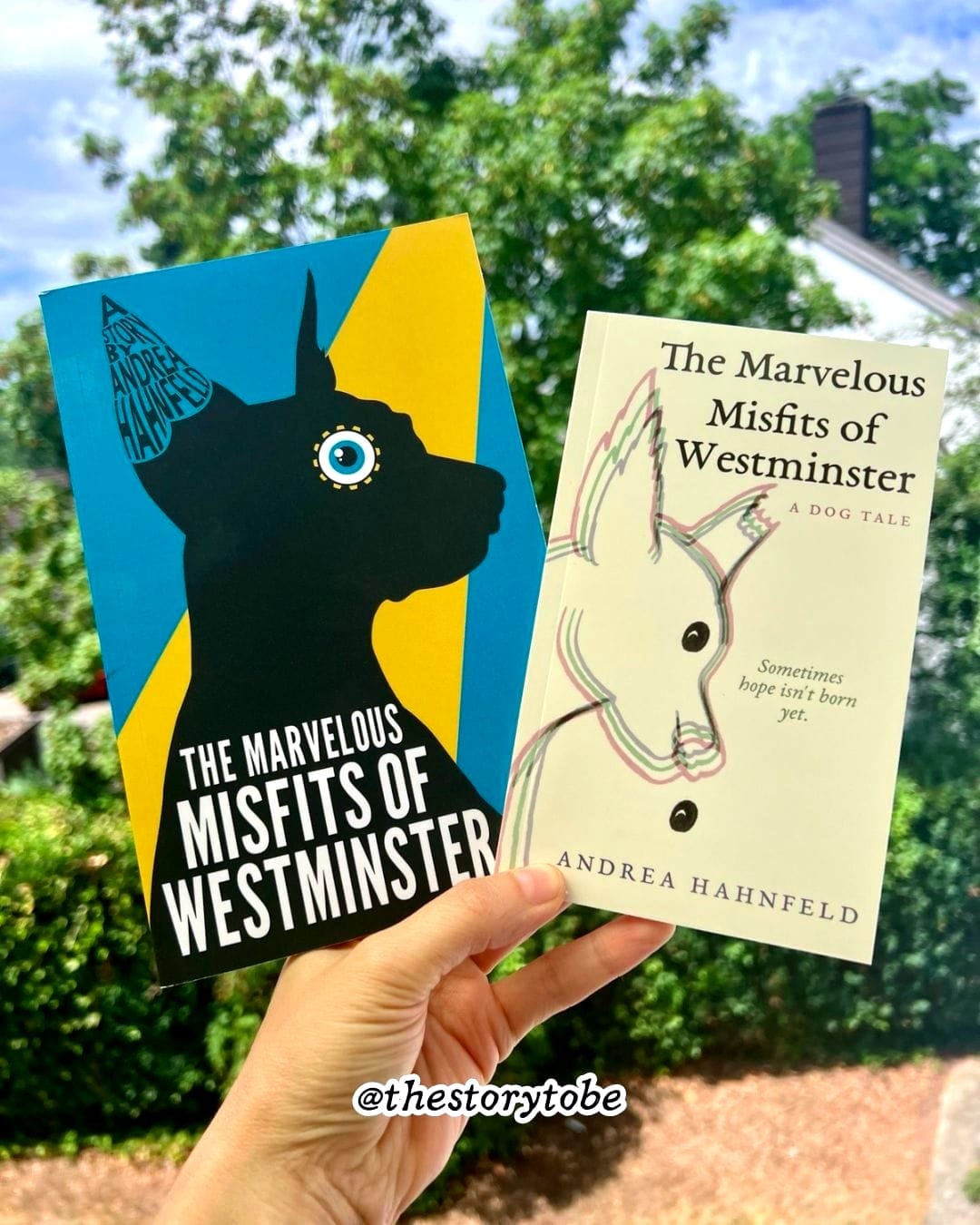 Fotograph showing the covers of two editions of The Marvelous Misfits of Westminster by Andrea Hahnfeld
