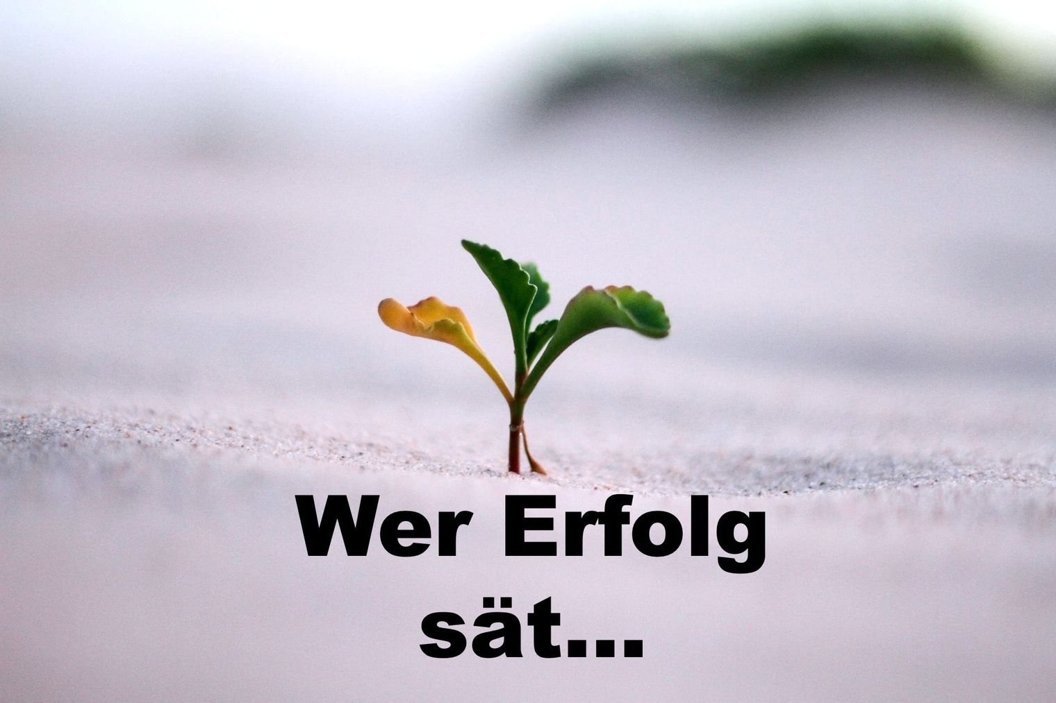 Amazon-Werbung für Selfpublisher: Der ultimative Leitfaden – Teil 2: Ads schalten