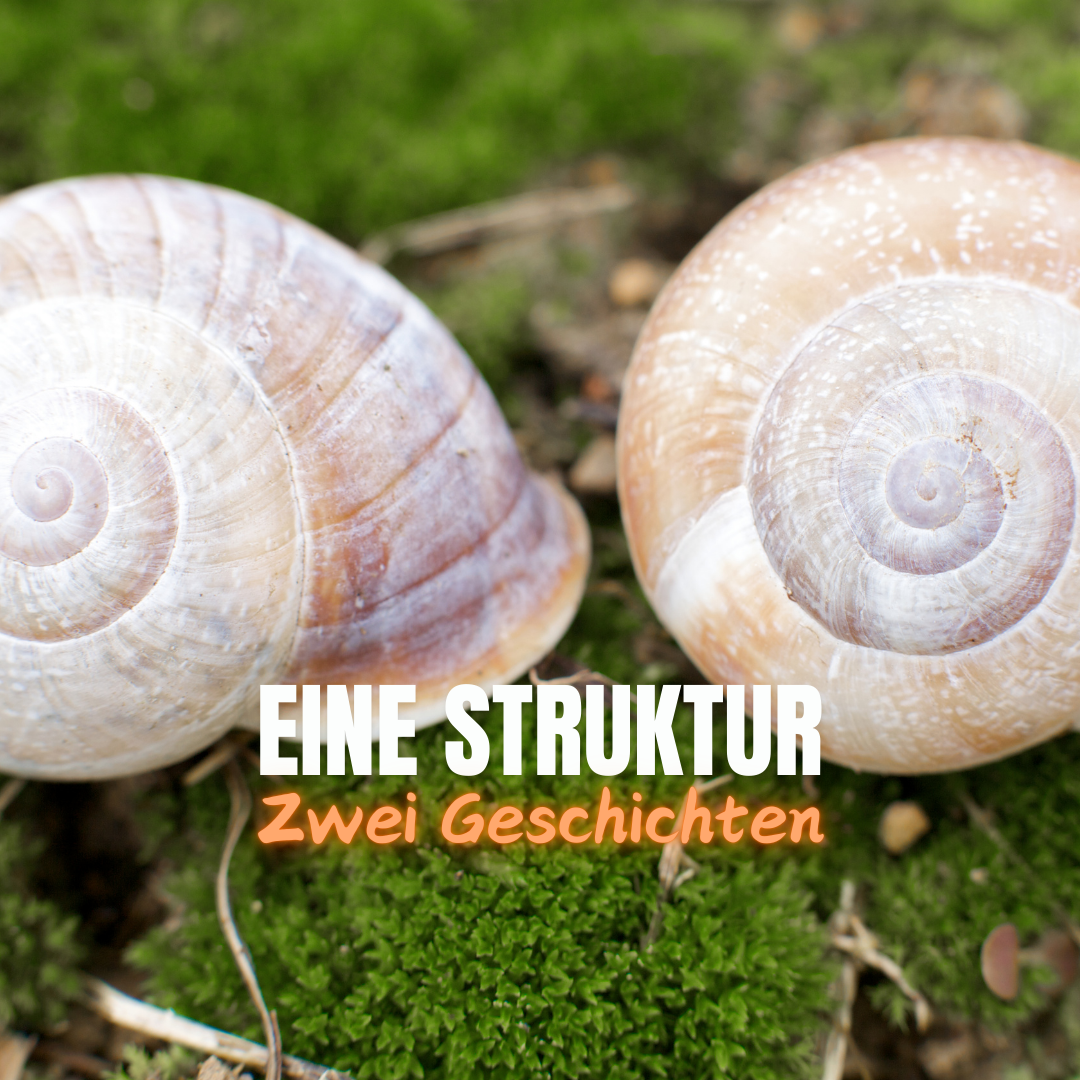 Die Pension Grillparzer vs. The Marvelous Misfits