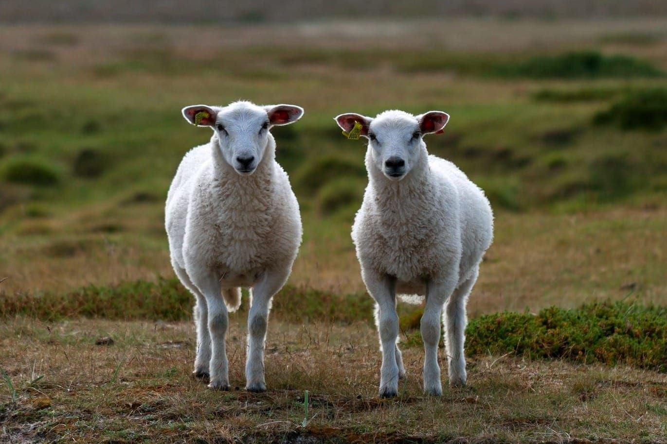 Erzähl’s noch einmal!