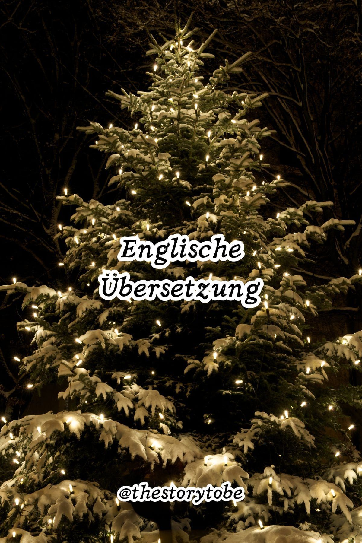 The Most Beautiful Tree in the Forest