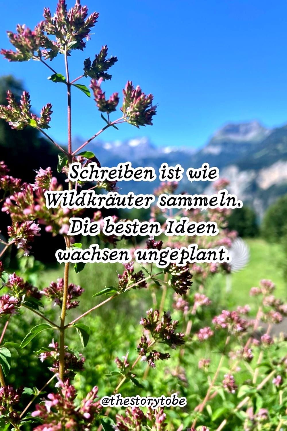 Frau Hahnfeld bloggt sich glücklich