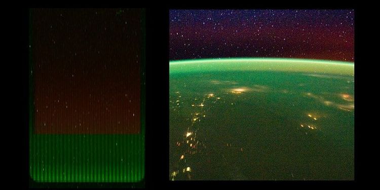 Cybernetics and the Gaia Hypothesis