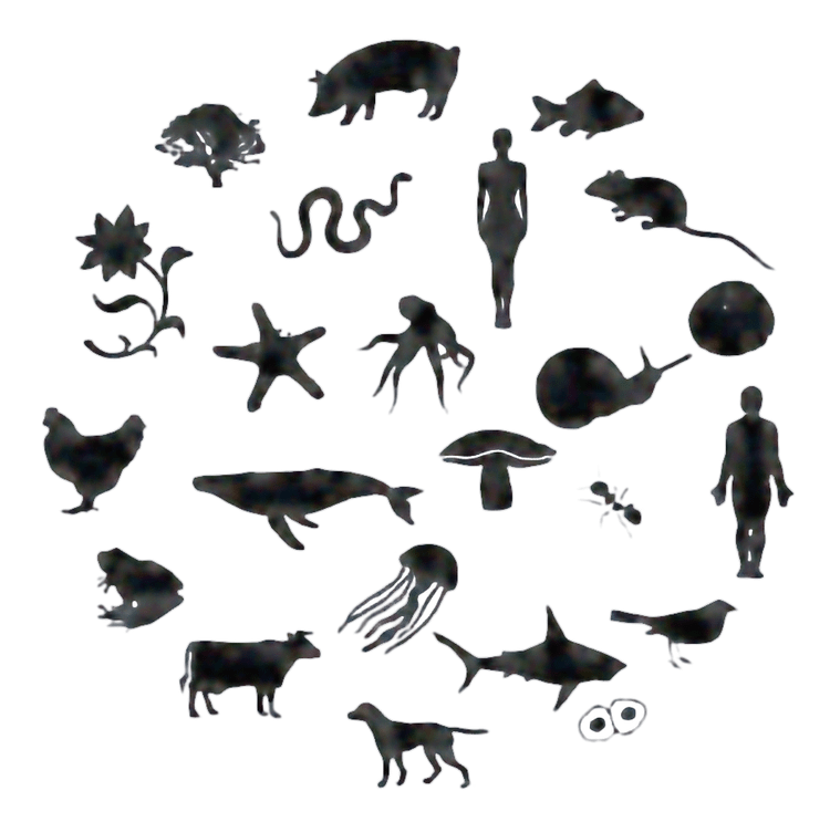 From Control to Kinship