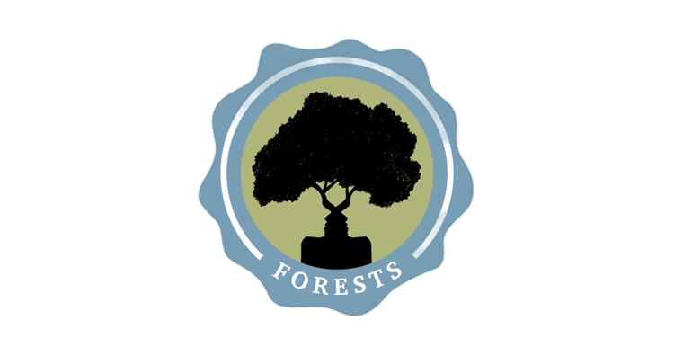 A Guided Exhibition on Pisgah National Forest