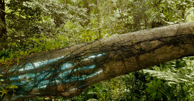 One Strange Rock: Gasp