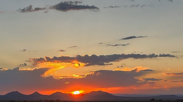 Gaia Beyond the Phoenix Complex