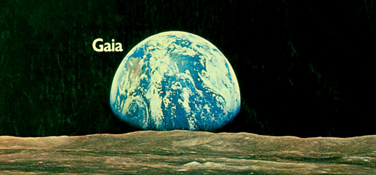 Gaia in the Systems Countercultures