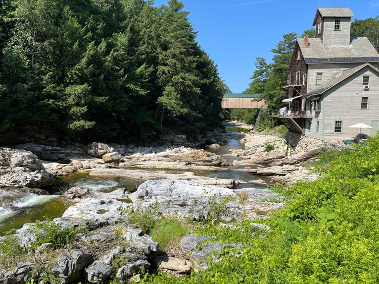 Across the Gaian Cosmos