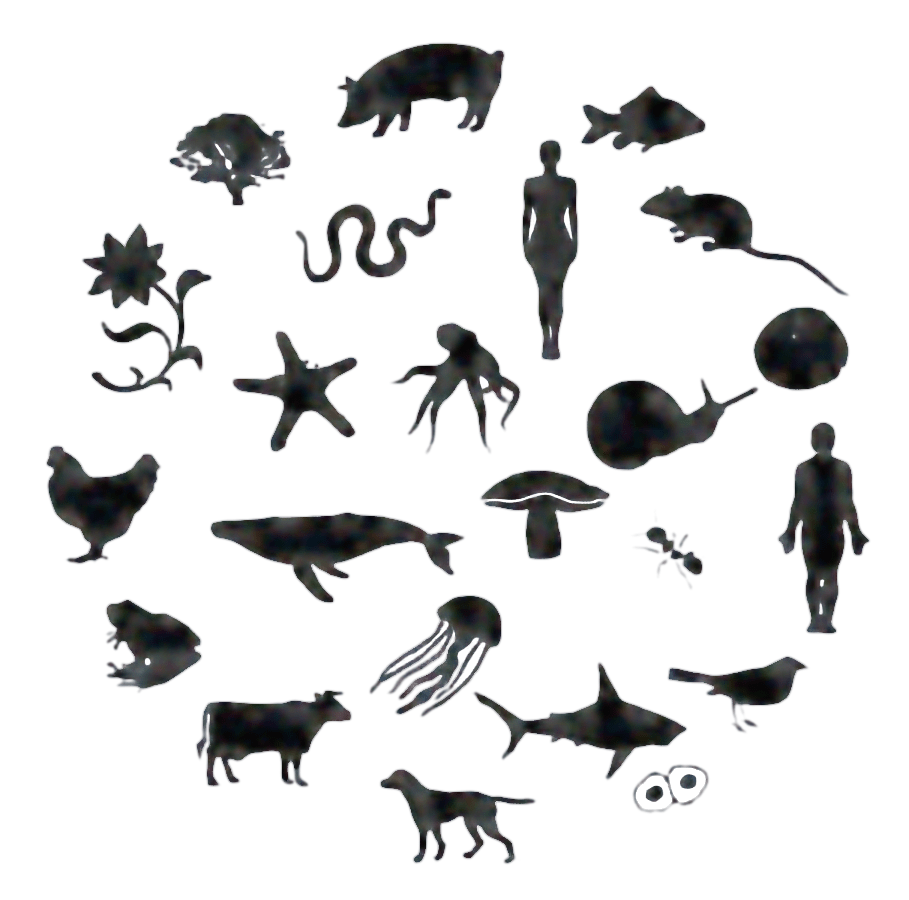 From Control to Kinship