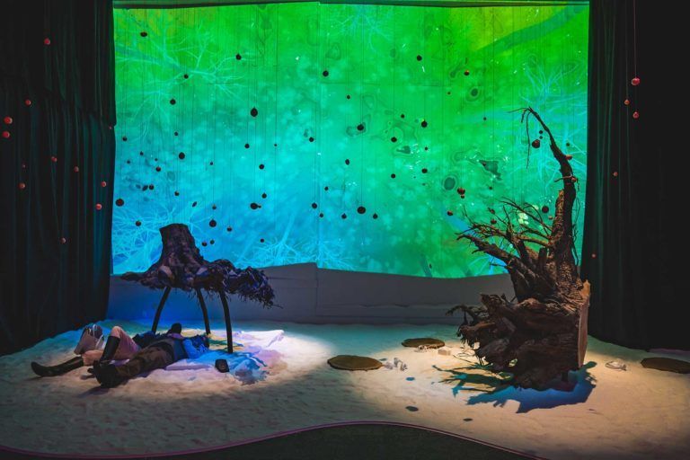 Image of a cedar and alder tree root systems hovering over a bed of salt with people meditating underneath