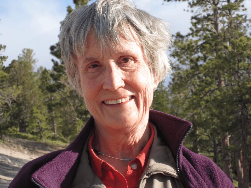 An Evening With: Donna Haraway, Bruno Clarke, and Rosi Braidotti