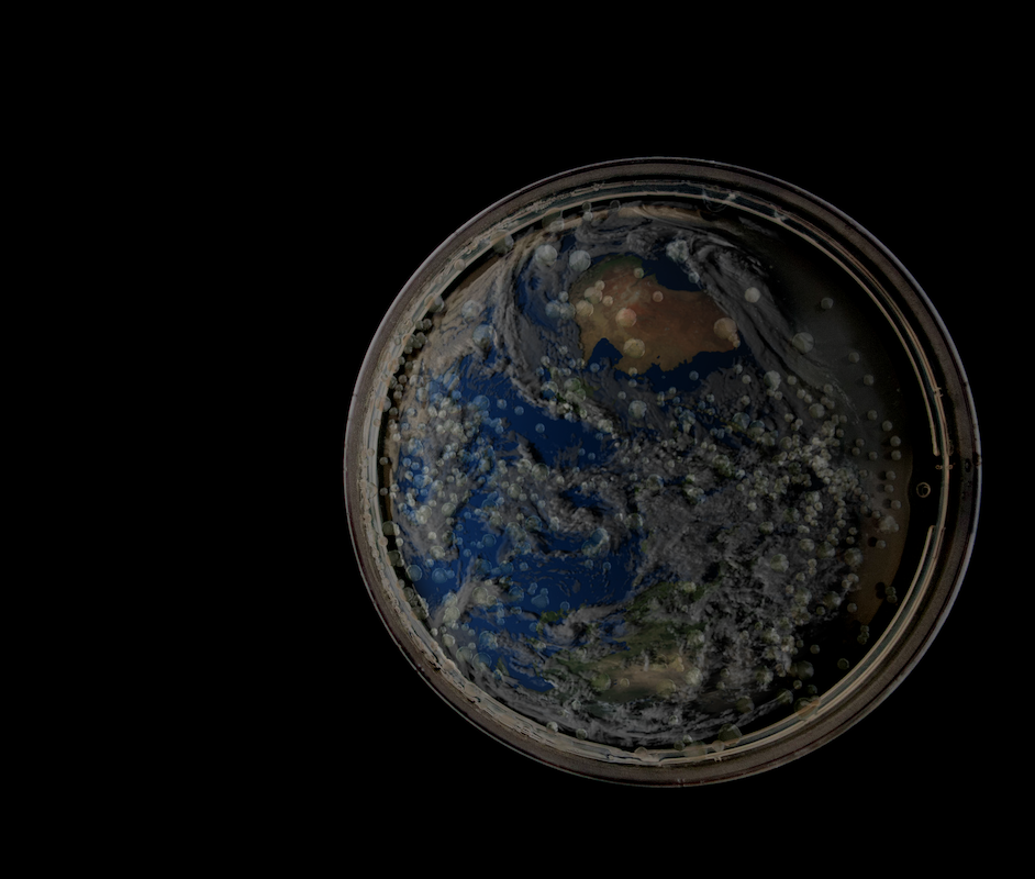 Gaia in cosmological context . . .