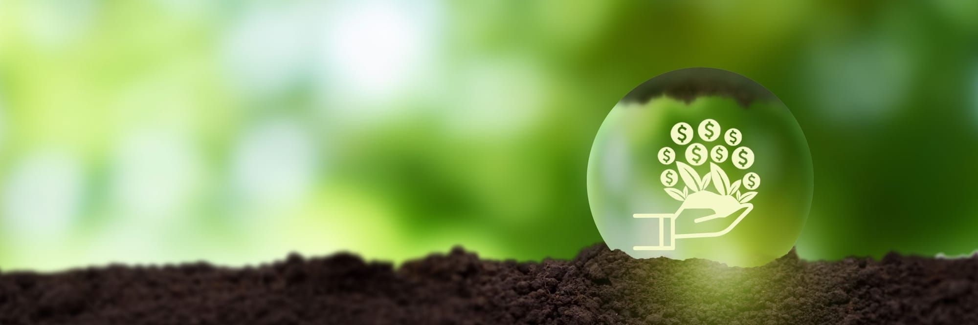 Credit Union Investing 101