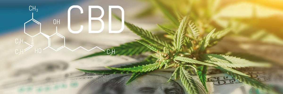 Marijuana Banking: Don't Get Caught in the Weeds