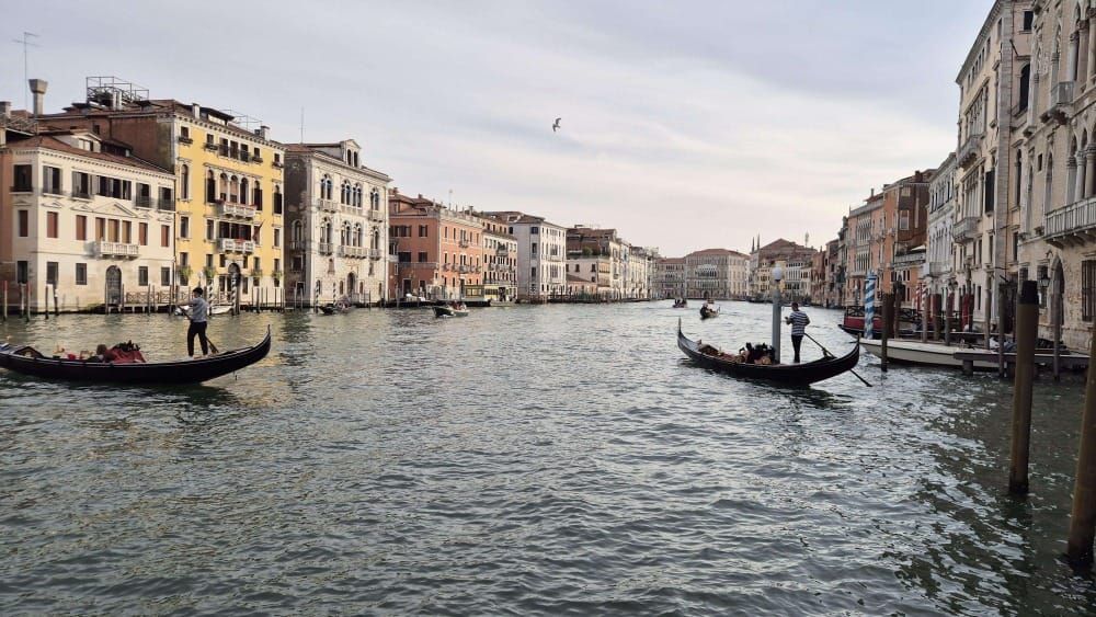La Serenissima su due Ruote: Eine Rad-Oper in 5 Akten mit 4 Pfoten