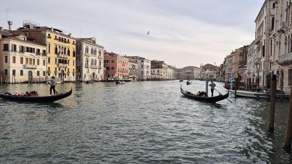 La Serenissima su due Ruote: Eine Rad-Oper in 5 Akten mit 4 Pfoten