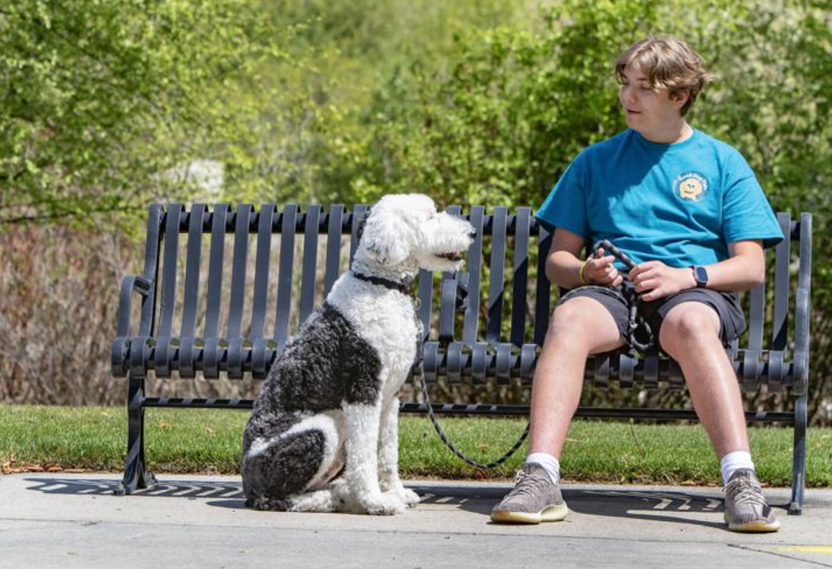 Celebrating an Outschool Learner: Boise Teen Turns Passion Into Profits with “Good Dog Fido”