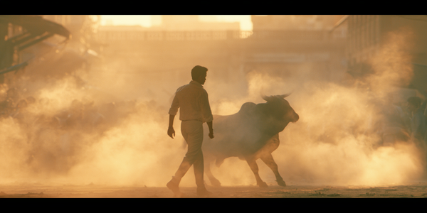 A man walks alongside a bull through a haze of golden dust. Neither knows what is on the other side.