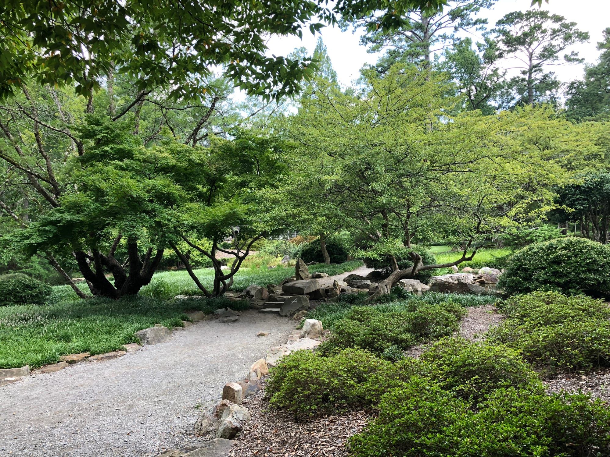 When Trust is Hard: A Heart-to-Heart About Freedom