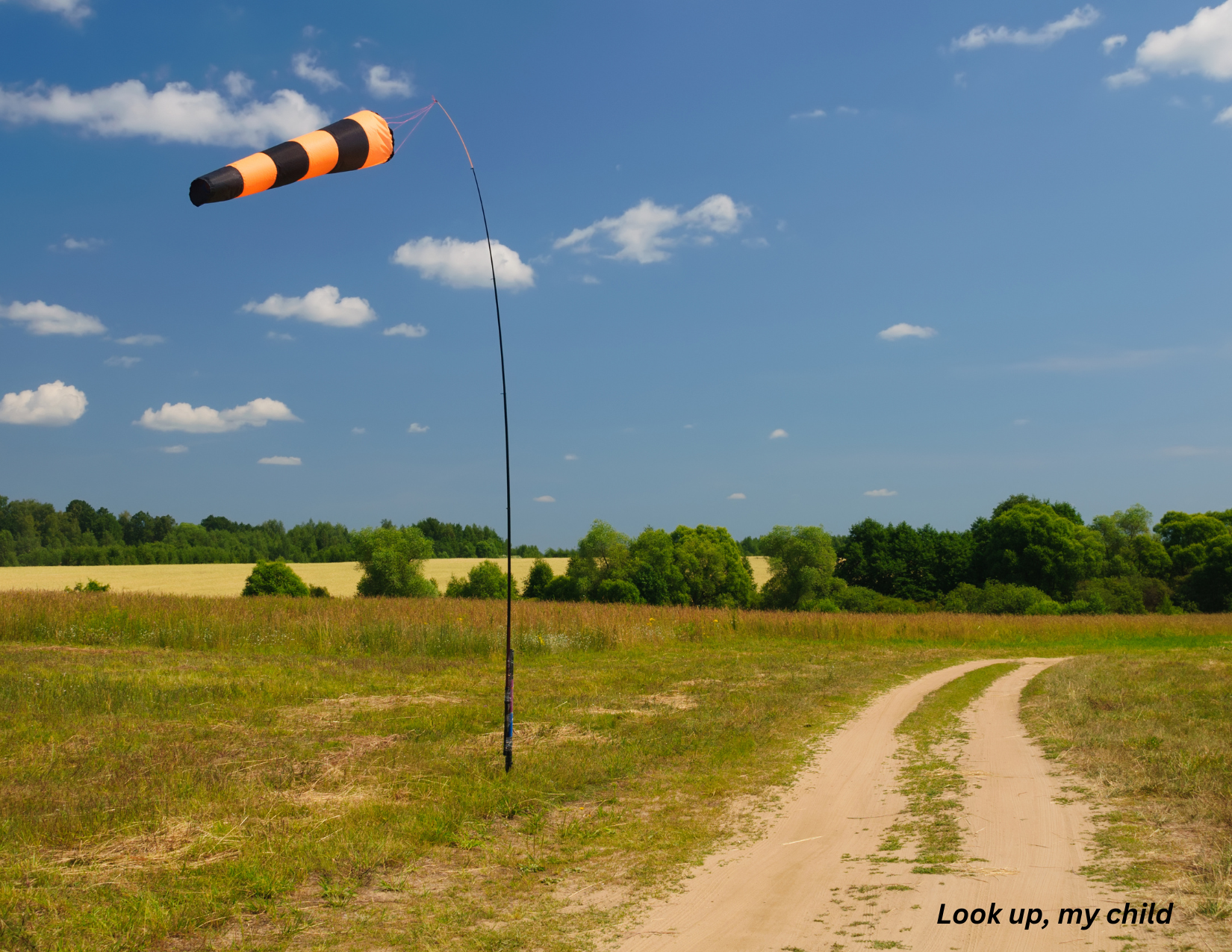 A New Wind: Embracing God’s Season of Divine Transition