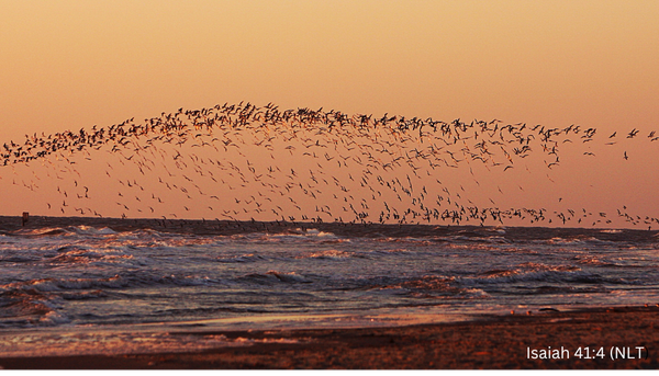 Learning to Let Go at Sunset