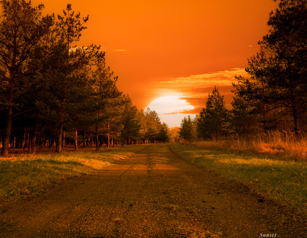 The Glory of Divine Transition