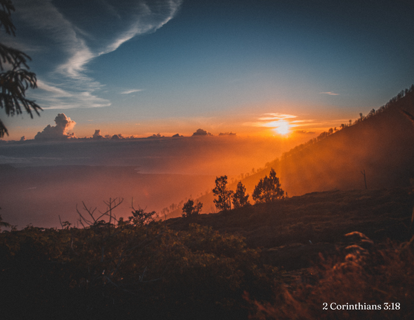 When Darkness Seems to Win