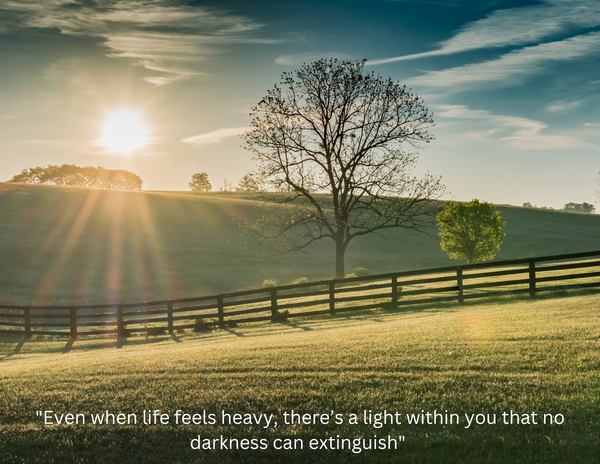 A Light in the Darkness