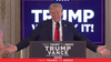 Ground Game, The Final Push: Trump Campaign Events and Grassroots Activism in Michigan, Texas and California