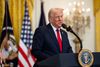 Ground Game: Trump's MAGA Blueprint in Action, from DC to TX, MI and CA