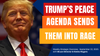 Strategic Overview - Trump's Peace Agenda Sends Globalists Into Rage - September 22, 2025