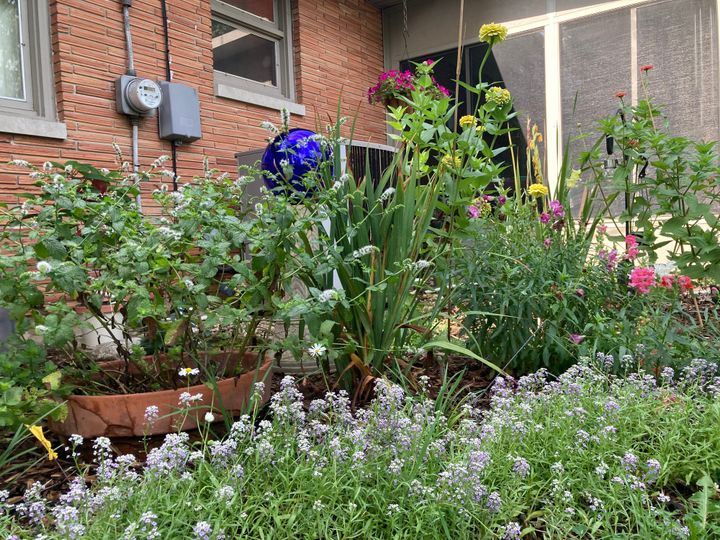 From Gardens to Grammar: My Eventful Summer as a Tagalog Teacher