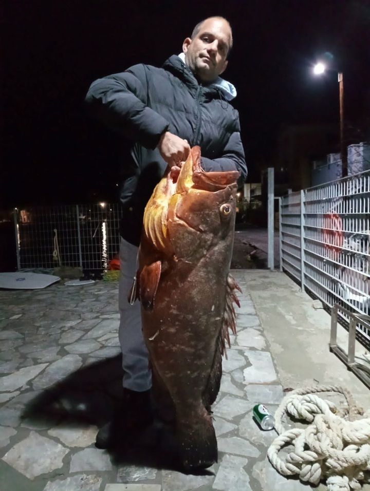 La Pêche à Symi